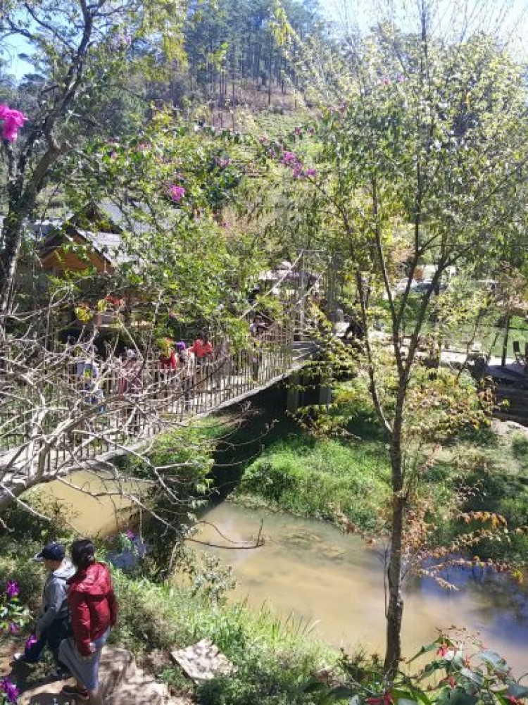 Mồng 2 tết đi dalat, theo các bác đi giờ nào không dính kẹt xe Mồng 2 tết đi dalat, theo các bác đi giờ nào không dính kẹt xe