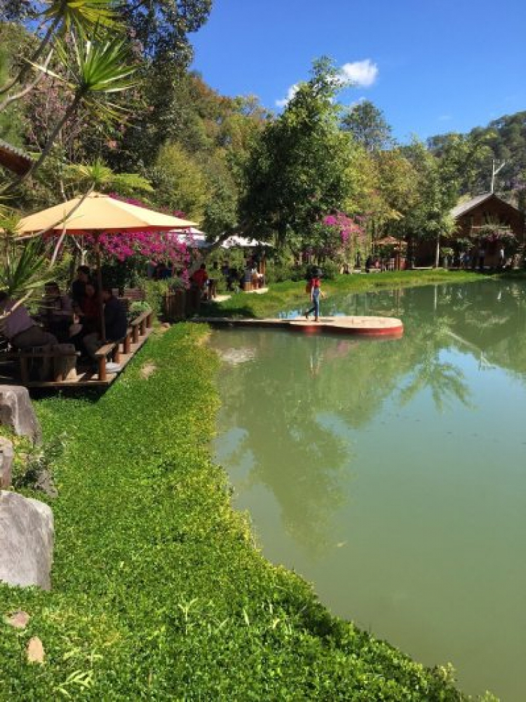 Mồng 2 tết đi dalat, theo các bác đi giờ nào không dính kẹt xe Mồng 2 tết đi dalat, theo các bác đi giờ nào không dính kẹt xe