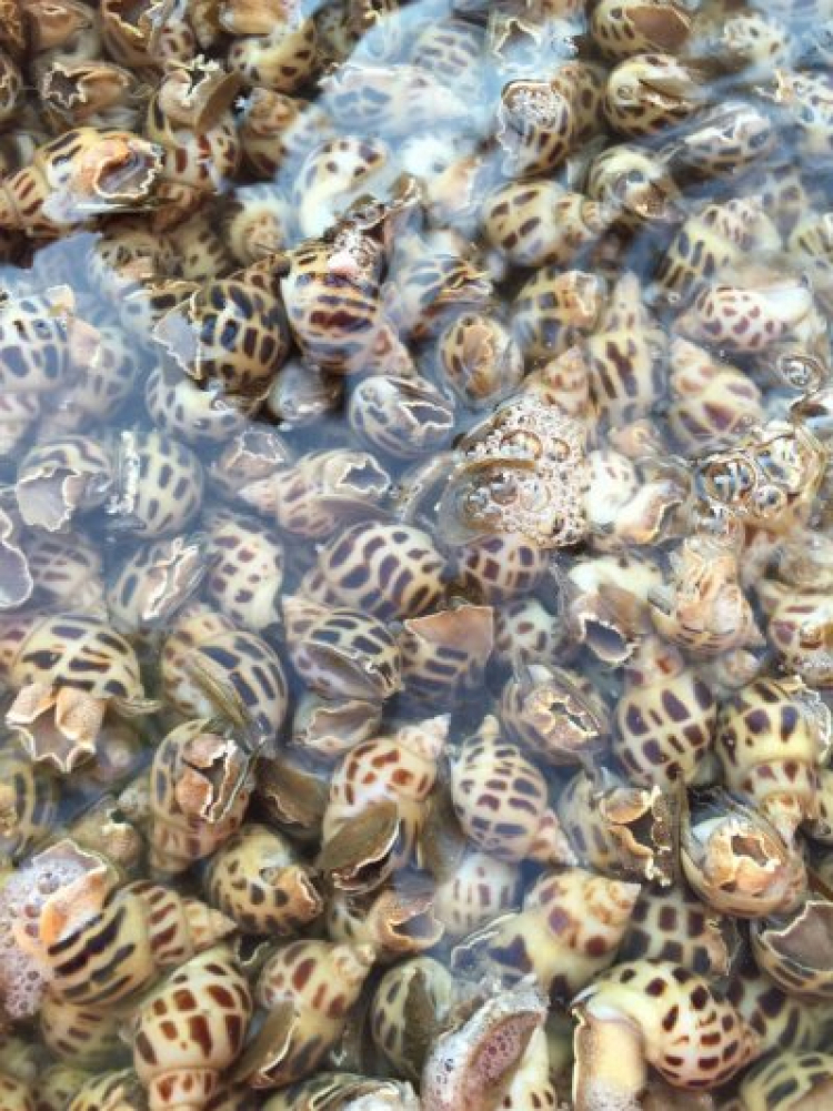 Lập hội OS Thủ Đức Lập hội OS Thủ Đức