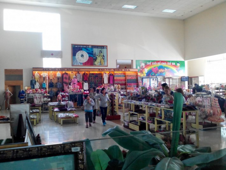 Xuân của các Fiater Xuân của các Fiater