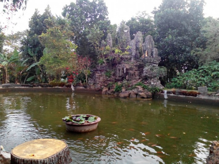 Xuân của các Fiater Xuân của các Fiater