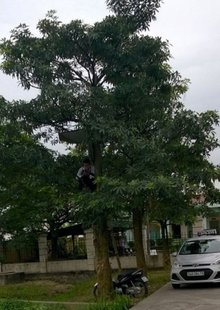 Nhiều ôtô bị ném đá trên cao tốc Long Thành Nhiều ôtô bị ném đá trên cao tốc Long Thành