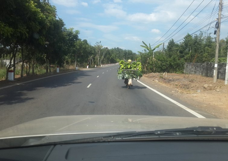 Xuân của các Fiater