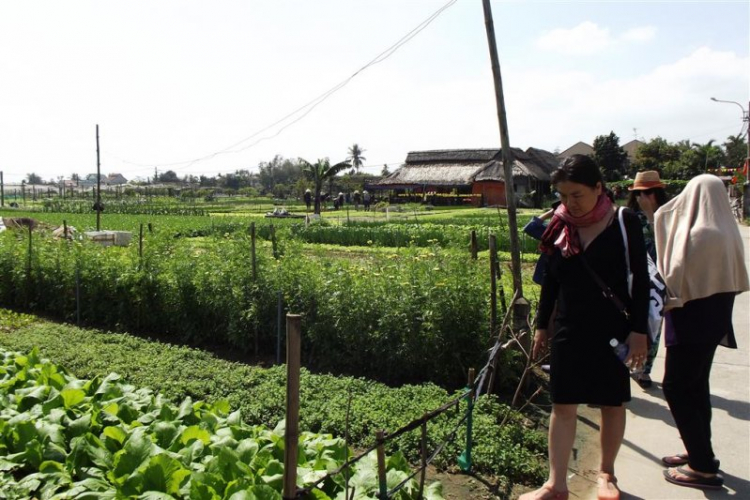 Miền Trung Du Xuân Ký - Gia Đình Nhỏ và Chuyến Phượt Ăn Tết Xa Nhà.