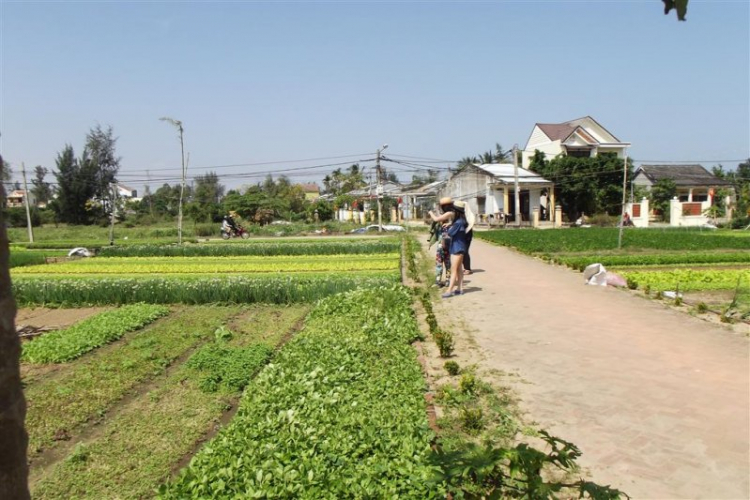 Miền Trung Du Xuân Ký - Gia Đình Nhỏ và Chuyến Phượt Ăn Tết Xa Nhà.