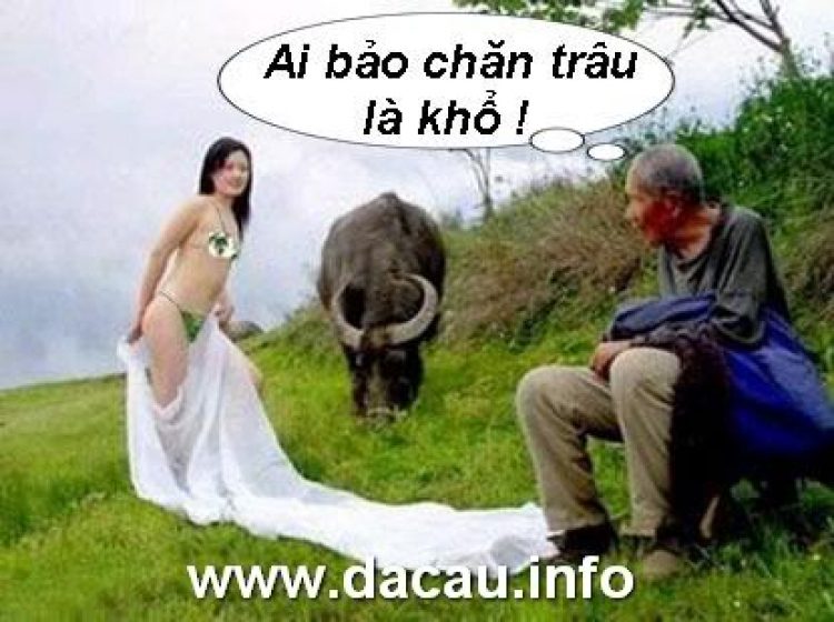 Jolie - Chiếc xe thân thiện Jolie - Chiếc xe thân thiện
