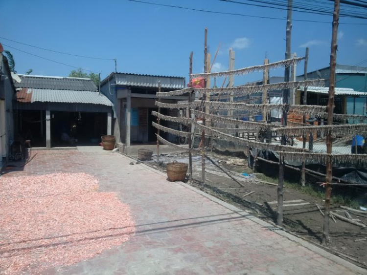 Đường đi đến Đất Mũi-Cà Mau Đường đi đến Đất Mũi-Cà Mau