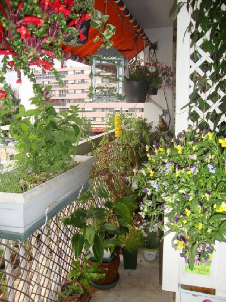 Ưu điểm trong thiết kế căn hộ Ưu điểm trong thiết kế căn hộ