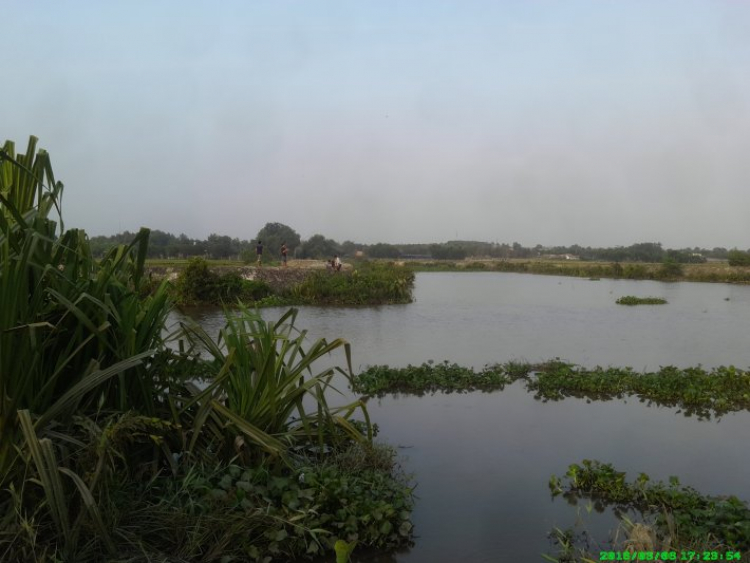 Đầu tư đất vườn Củ Chi Đầu tư đất vườn Củ Chi
