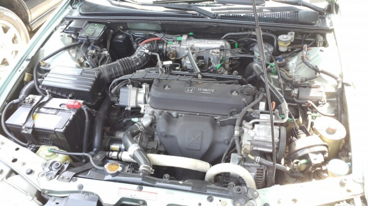 Đam mê honda accord 1990 Đam mê honda accord 1990