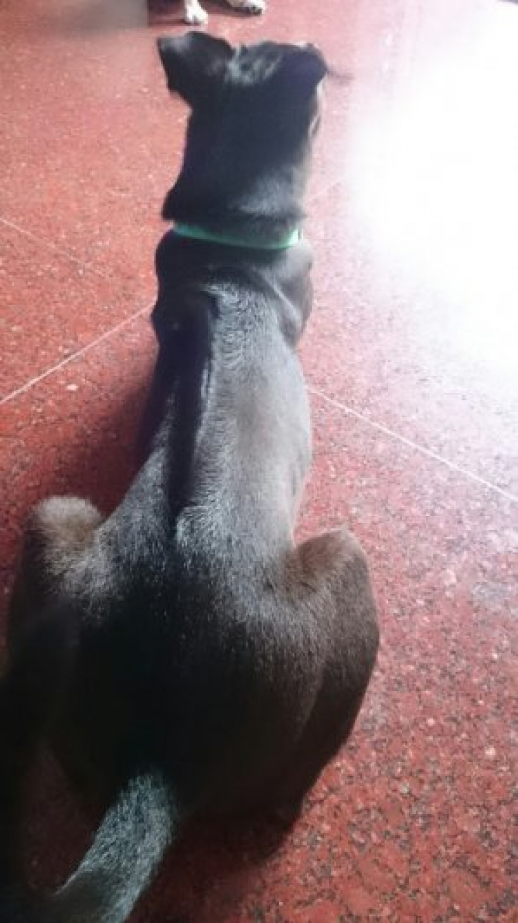 CHUỘTTTTT........