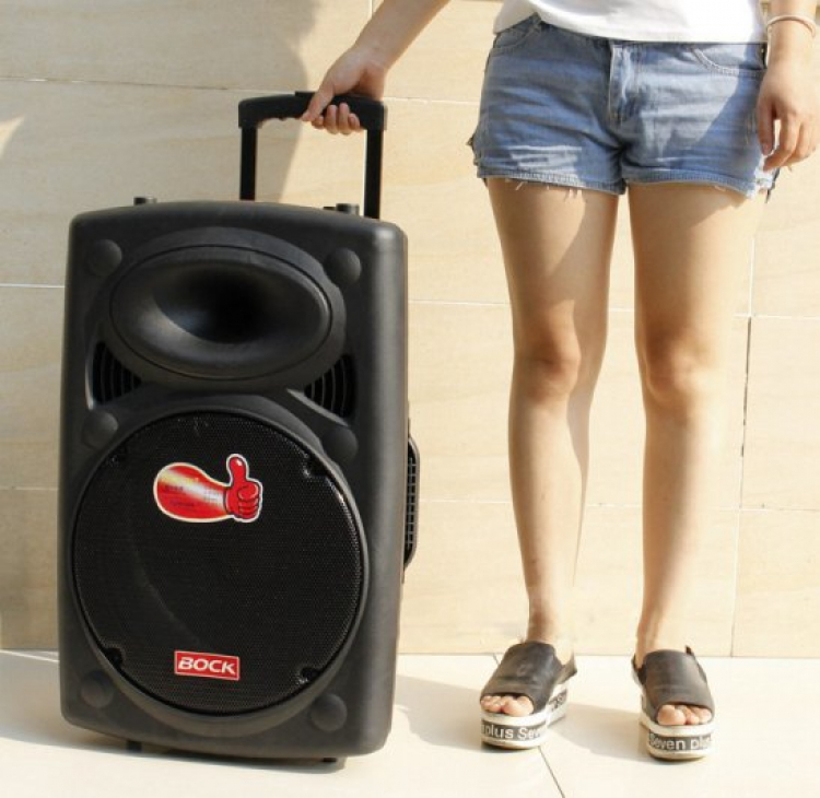 Nhờ tư vấn mua loa vali kéo Nhờ tư vấn mua loa vali kéo