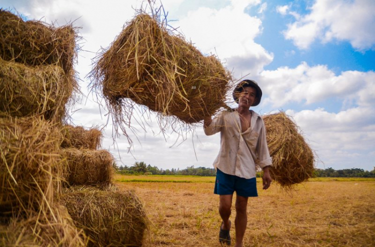 Nơi hội tụ Fiater Miền Tây