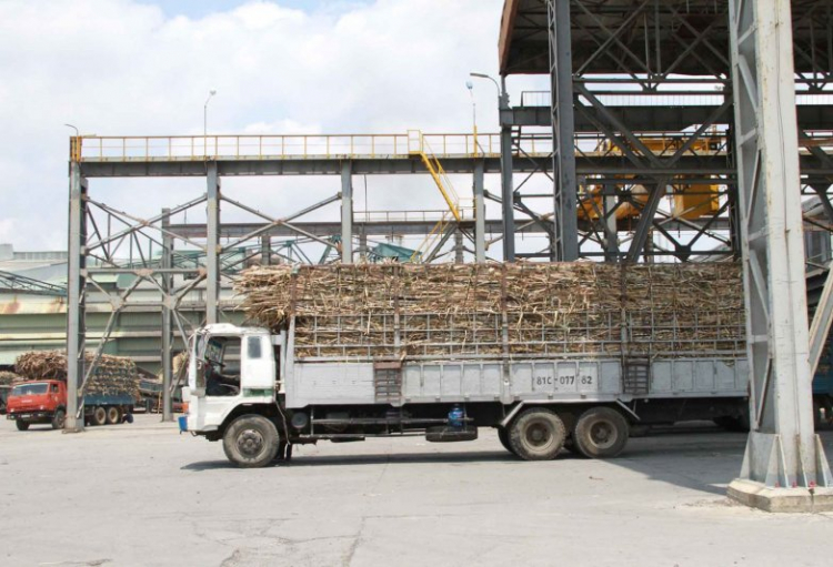 Nhảy khỏi xe tải đang tụt dốc, một loạt người bị cán Nhảy khỏi xe tải đang tụt dốc, một loạt người bị cán