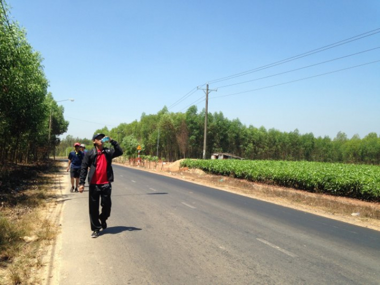 KHÁM PHÁ TÚ LÀN (trong quần thể Sơn  Đoòng)