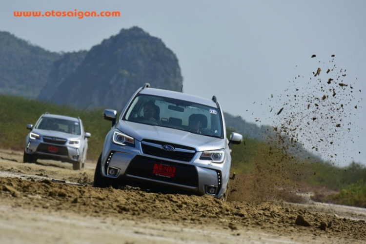 Subaru Forester 2016 ra mắt tại Đông Nam Á, tháng 4 trình làng tại Việt Nam