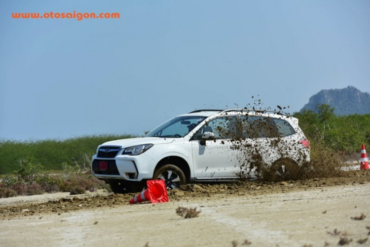 Subaru Forester 2016 ra mắt tại Đông Nam Á, tháng 4 trình làng tại Việt Nam