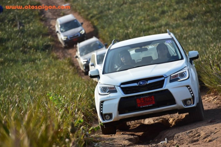 Subaru Forester 2016 ra mắt tại Đông Nam Á, tháng 4 trình làng tại Việt Nam