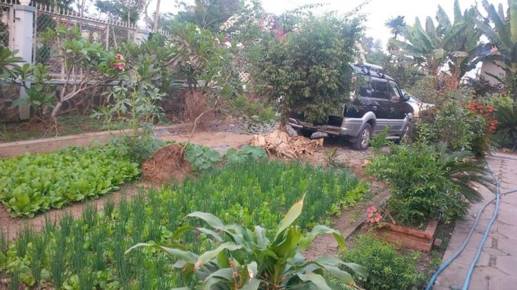 Jolie - Chiếc xe thân thiện Jolie - Chiếc xe thân thiện