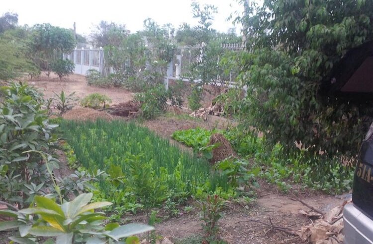 Jolie - Chiếc xe thân thiện Jolie - Chiếc xe thân thiện