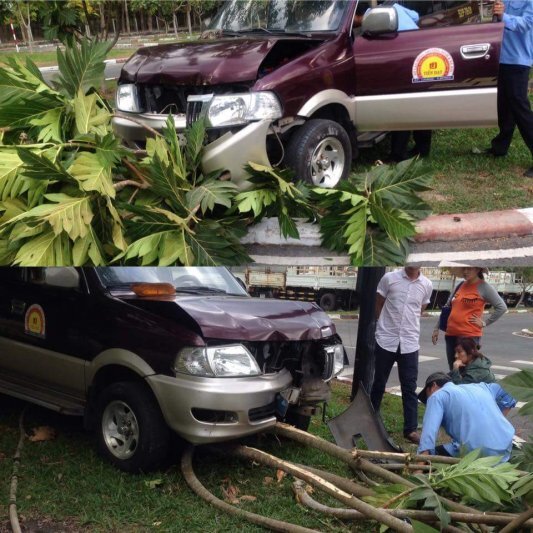 Thi đậu mừng quá leo lề luôn