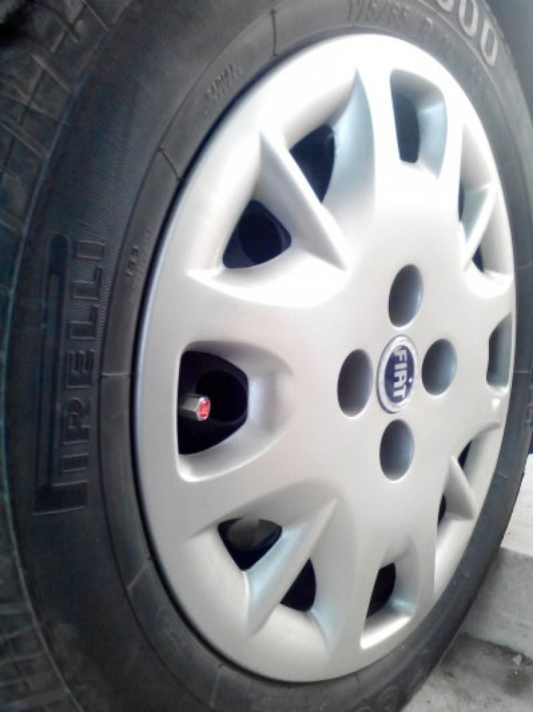 Những em FIAT vừa đẹp, vừa mềm mại Những em FIAT vừa đẹp, vừa mềm mại
