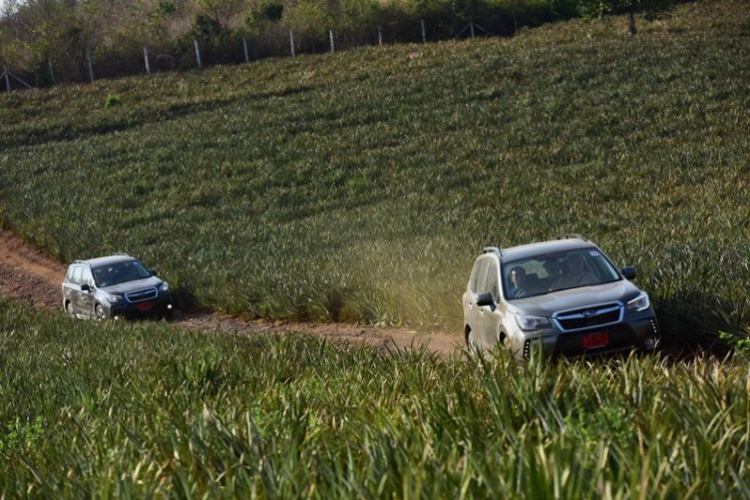 Hành trình trải nghiệm Subaru Forester 2016 trên đất Thái