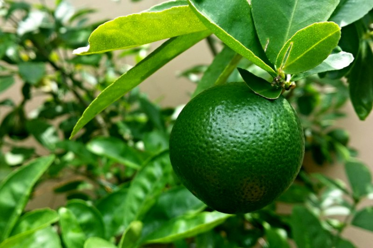 Những hành vi giao thông cần xử phạt và phê phán... Những hành vi giao thông cần xử phạt và phê phán...