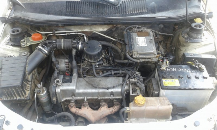 cần mua Fiat Albea cần mua Fiat Albea