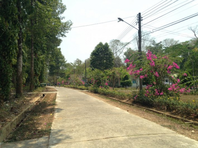 Phượt Bàu Sấu - Cát Tiên. Thử thách với chính mình! Phượt Bàu Sấu - Cát Tiên. Thử thách với chính mình!