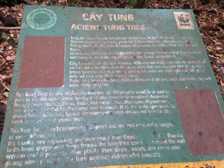 Xuyên rừng Nam cát tiên ,Bàu sấu Tà Lài Xuyên rừng Nam cát tiên ,Bàu sấu Tà Lài