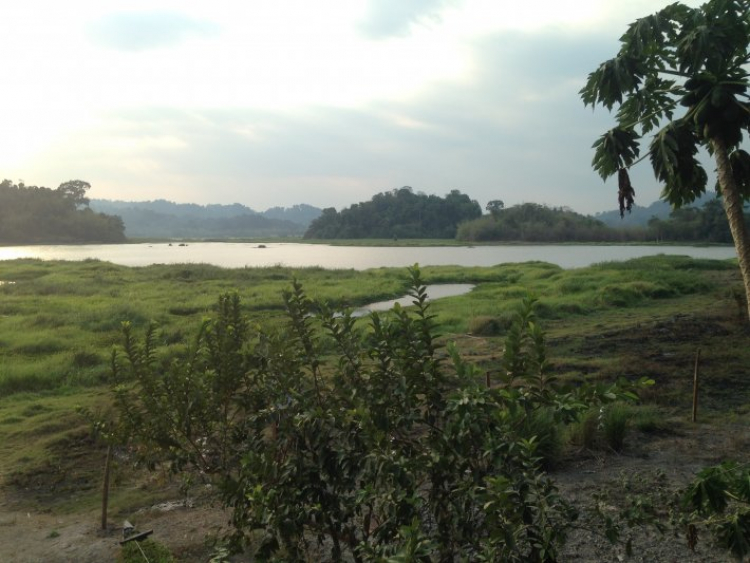 Phượt Bàu Sấu - Cát Tiên. Thử thách với chính mình! Phượt Bàu Sấu - Cát Tiên. Thử thách với chính mình!