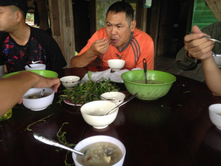 Phượt Bàu Sấu - Cát Tiên. Thử thách với chính mình! Phượt Bàu Sấu - Cát Tiên. Thử thách với chính mình!