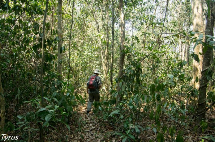 Xuyên rừng Nam cát tiên ,Bàu sấu Tà Lài