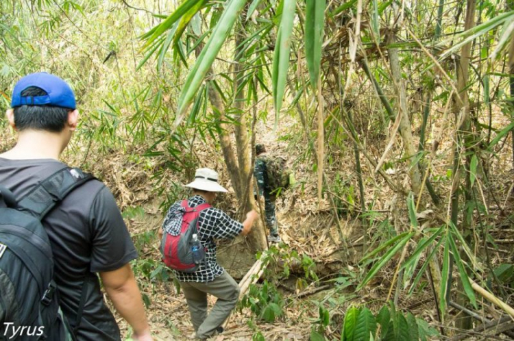 Xuyên rừng Nam cát tiên ,Bàu sấu Tà Lài