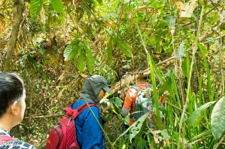 Xuyên rừng Nam cát tiên ,Bàu sấu Tà Lài