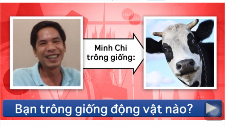 Chân dung thành viên XNL