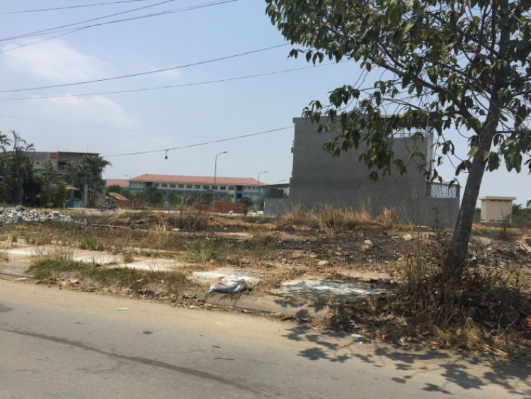 Dự án ngủ quên Dự án ngủ quên