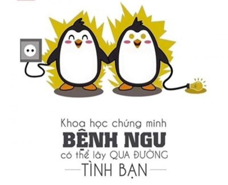 Trẻ trâu biểu diễn trên QL1A để ... thể hiện với gái
