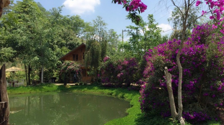Đà Lạt trốn nóng