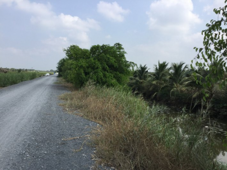 Ý tưởng: Cho thuê đất để trồng rau sạch. Ý tưởng: Cho thuê đất để trồng rau sạch.
