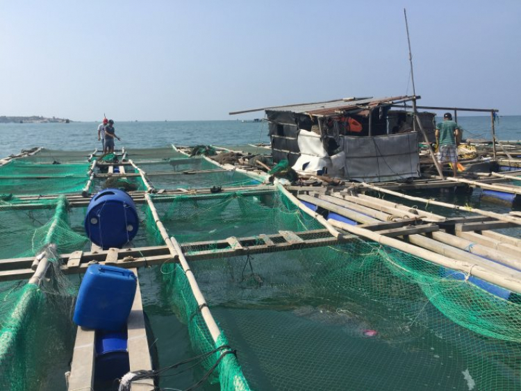 Đi du lịch chú ý