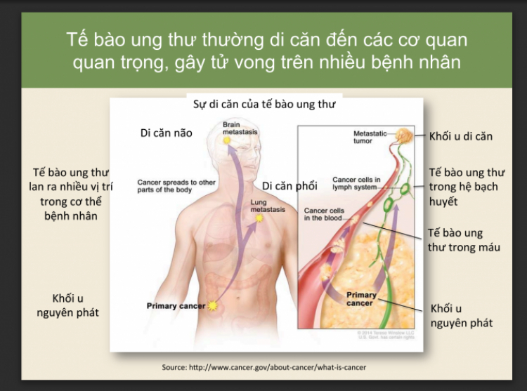 Gửi các anh tâm tư về bệnh ung thư...