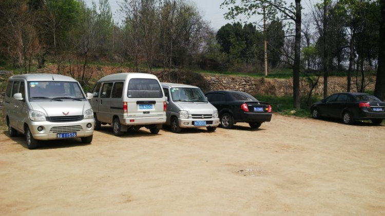 Suzuki Wagon collection
