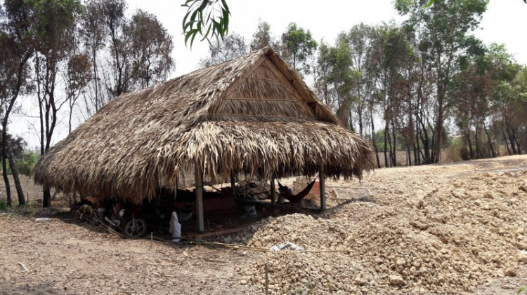 Ý tưởng: Cho thuê đất để trồng rau sạch. Ý tưởng: Cho thuê đất để trồng rau sạch.