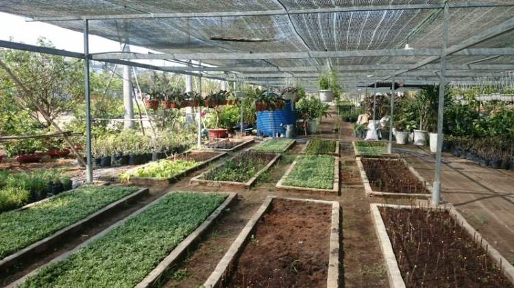 Tiến độ dự án Phố Đông Village Tiến độ dự án Phố Đông Village