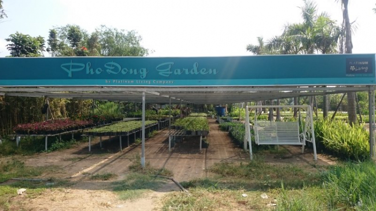 Tiến độ dự án Phố Đông Village Tiến độ dự án Phố Đông Village
