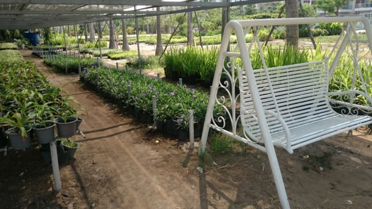 Tiến độ dự án Phố Đông Village Tiến độ dự án Phố Đông Village