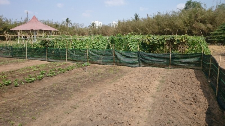 Tiến độ dự án Phố Đông Village Tiến độ dự án Phố Đông Village
