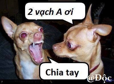 Camry: Trao đổi kinh nghiệm sửa chữa, phụ tùng Camry 8X 9X 0X (Đời 86 đến 2000) Camry: Trao đổi kinh nghiệm sửa chữa, phụ tùng Camry 8X 9X 0X (Đời 86 đến 2000)